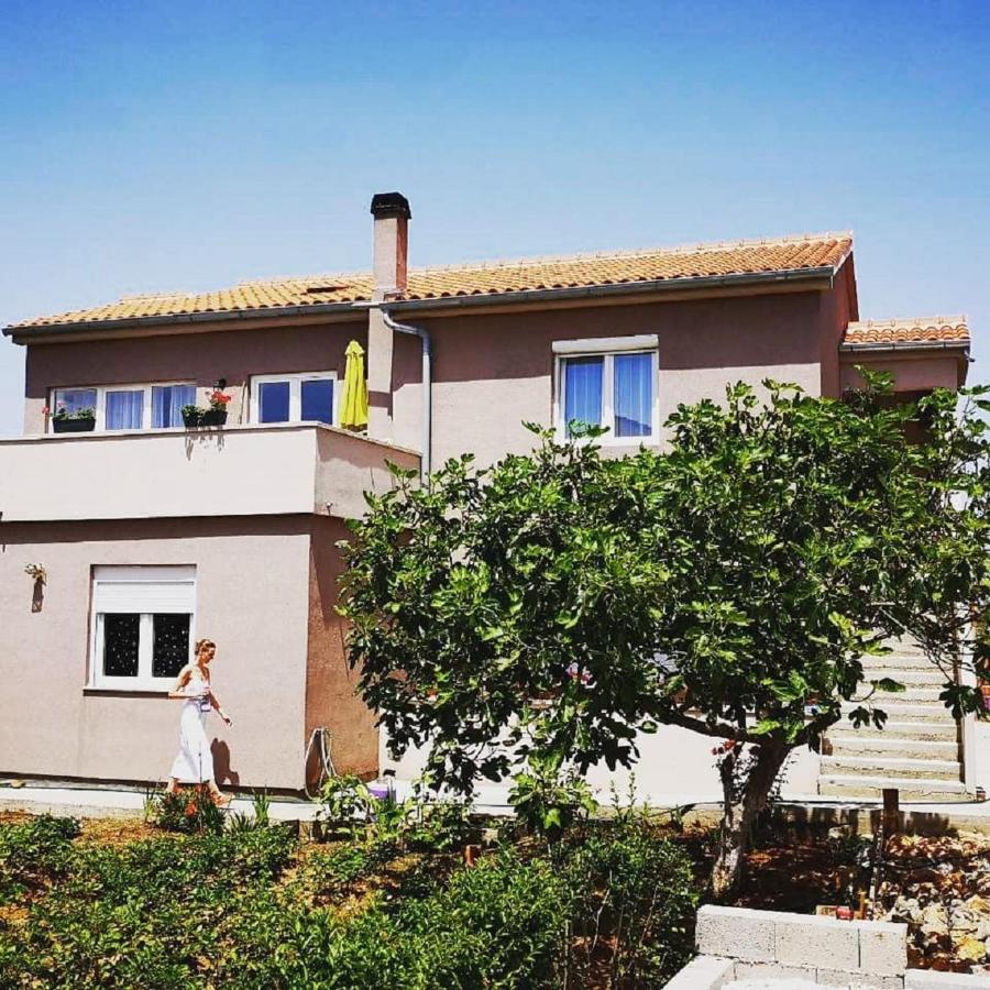 Apartmani Zara Zaton  Dış mekan fotoğraf